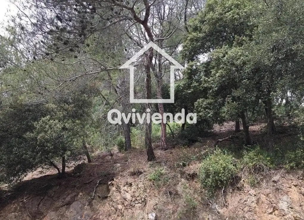 Terreny rústic en venda a LLICORELLA (DE LA), imagen 4