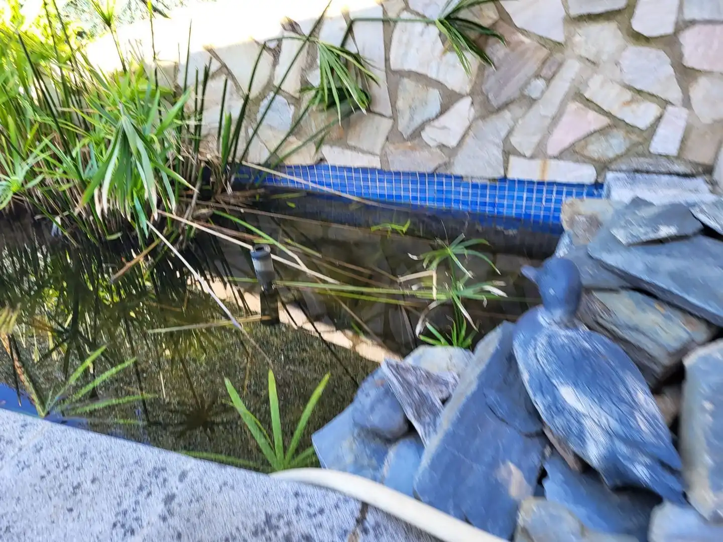 Xalet amb piscina en venda a Calle Cap de Creus, imagen 27