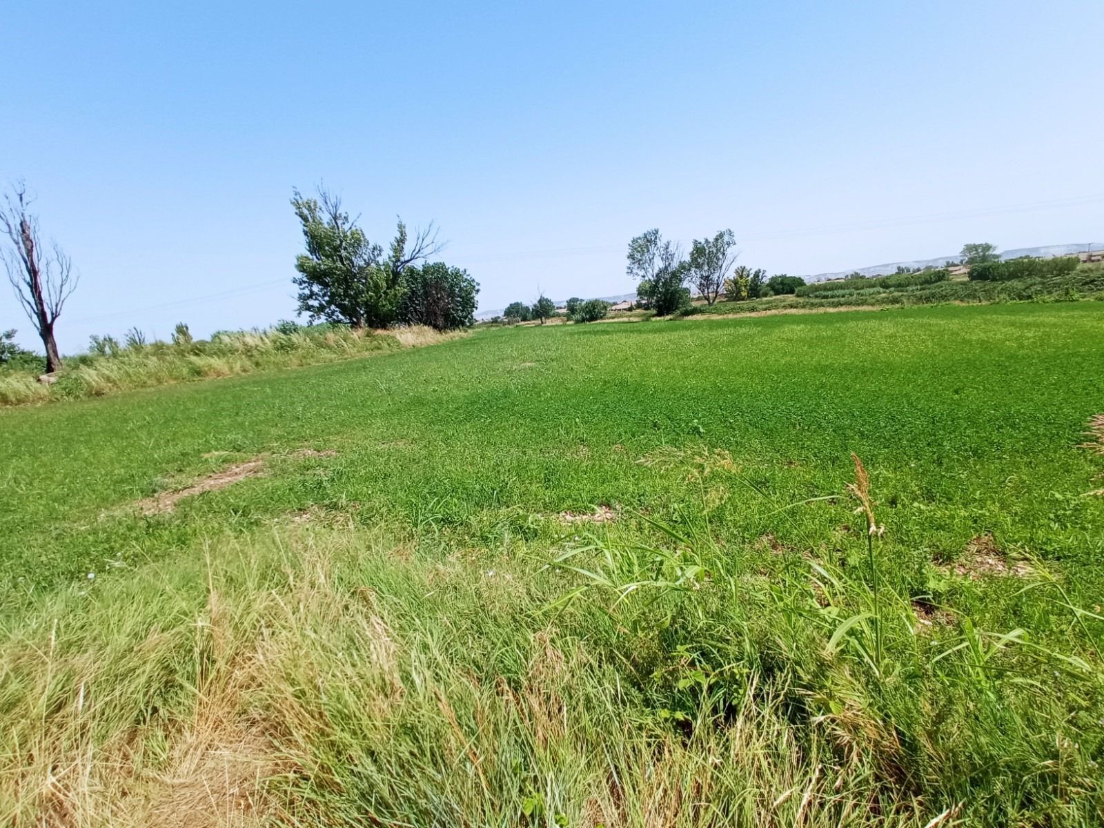 Terreno en venta en Pinseque