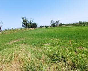Land for sale in Pinseque
