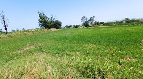 TERRENO DE REGADIO EN PINSEQUE