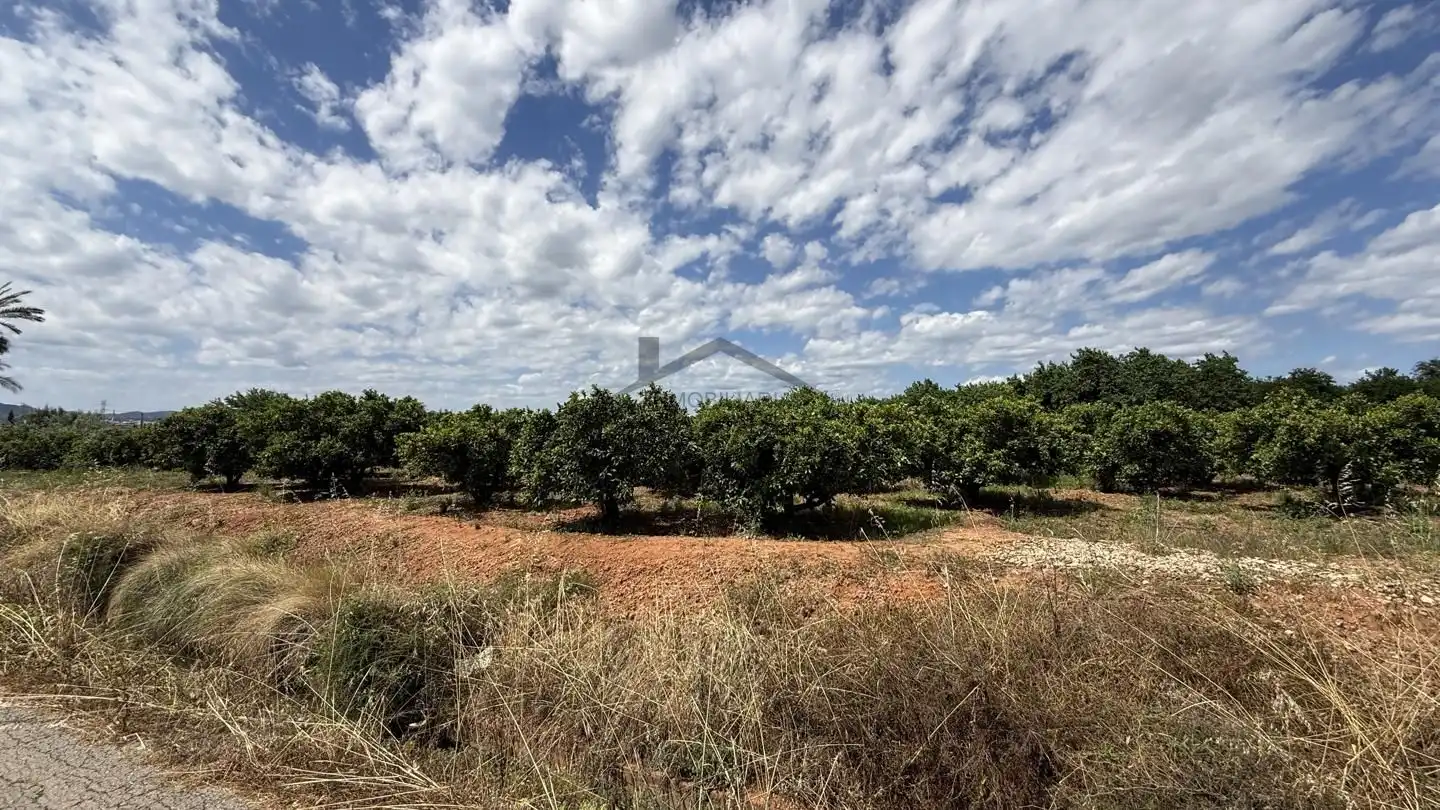 Land for sale in Rafelguaraf