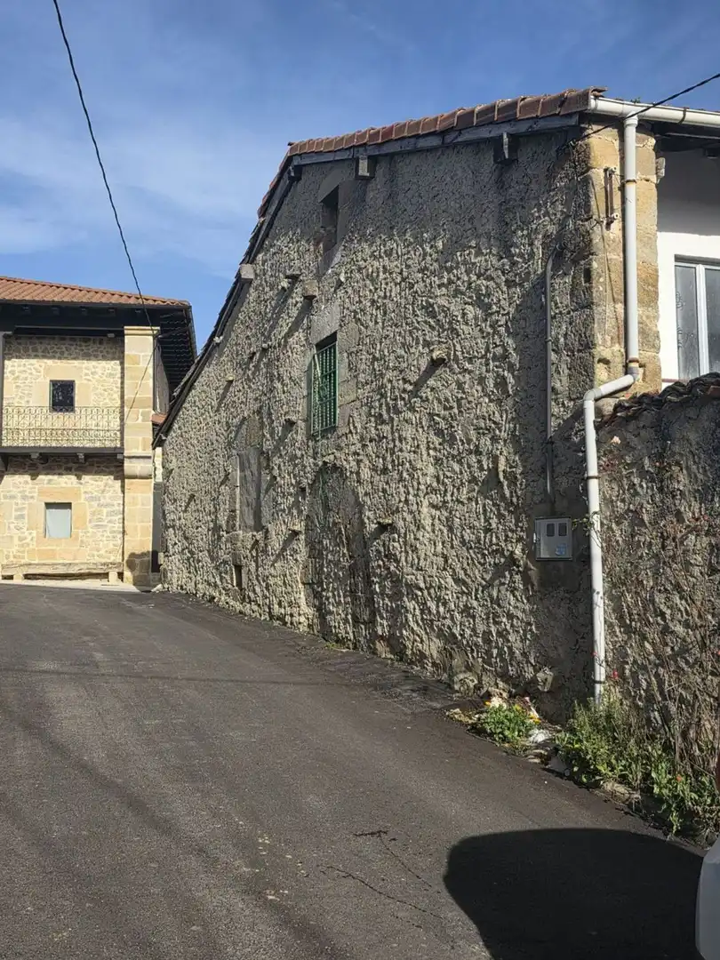 Vista exterior de Casa o chalet en venta en Valle de Valdebezana