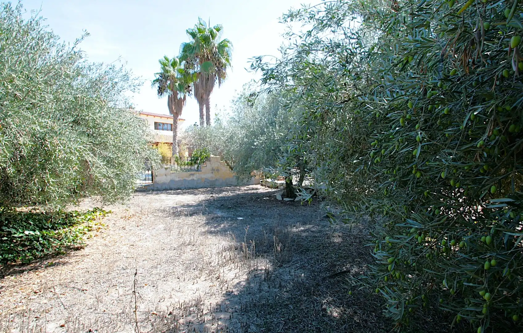 Casa o chalet en venta en Cantoria con Jardín privado, Terraza y Piscina