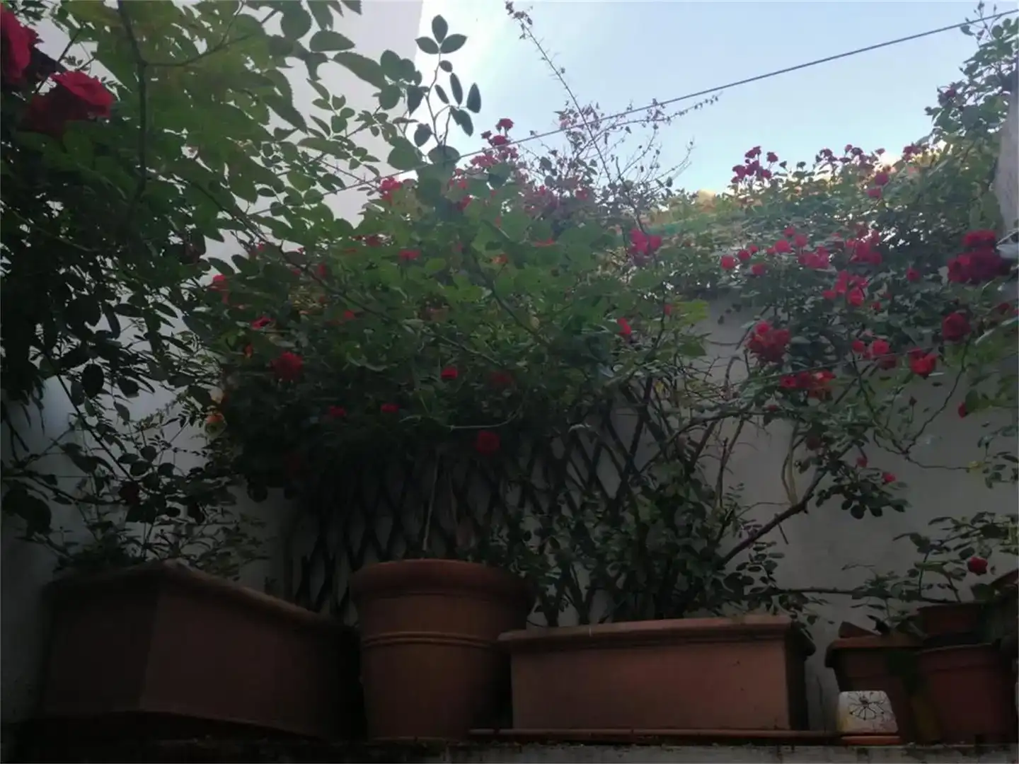 Terrassa de Apartament en venda en  Córdoba Capital amb Aire condicionat