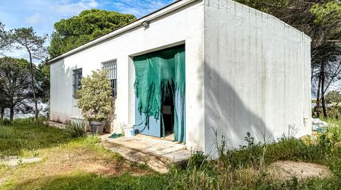 Foto 2 de Finca rústica en venta en Plaza Casablanca, Lepe, Huelva