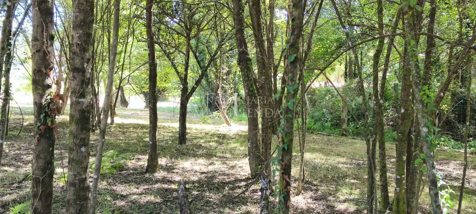 Casa amb jardí en venda a Entenza, imagen 45
