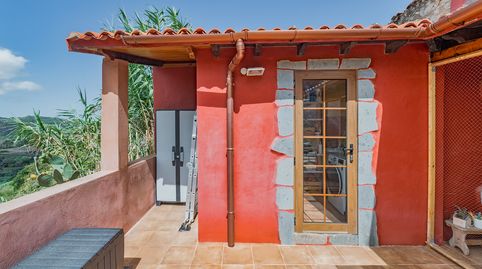 Foto 5 de Casa o xalet en venda a Calle la Palmita, Valleseco, Las Palmas