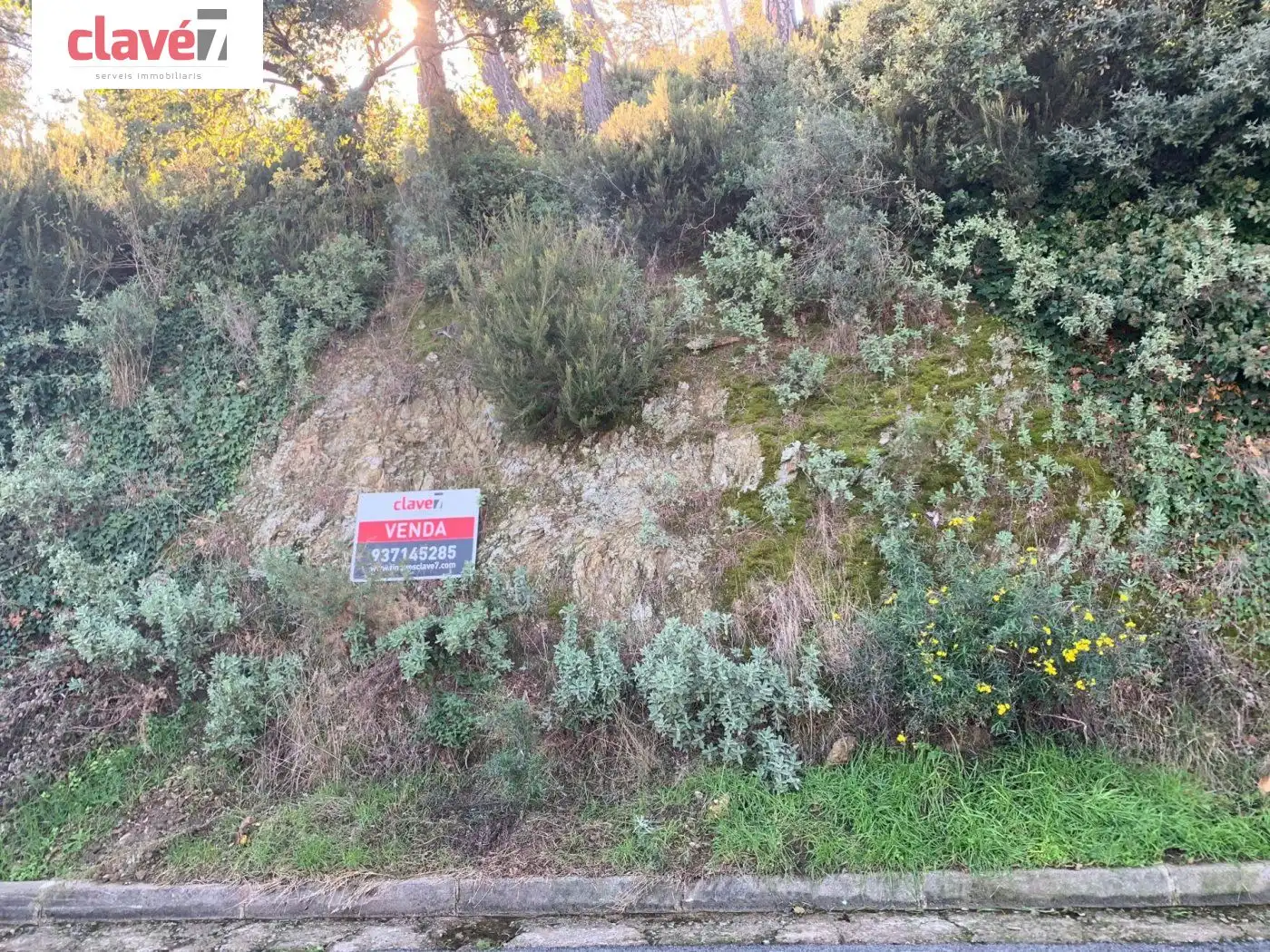 Wohnbaugrundstück zum Verkauf in El Racó - Sant Feliu del Racó, imagen 4
