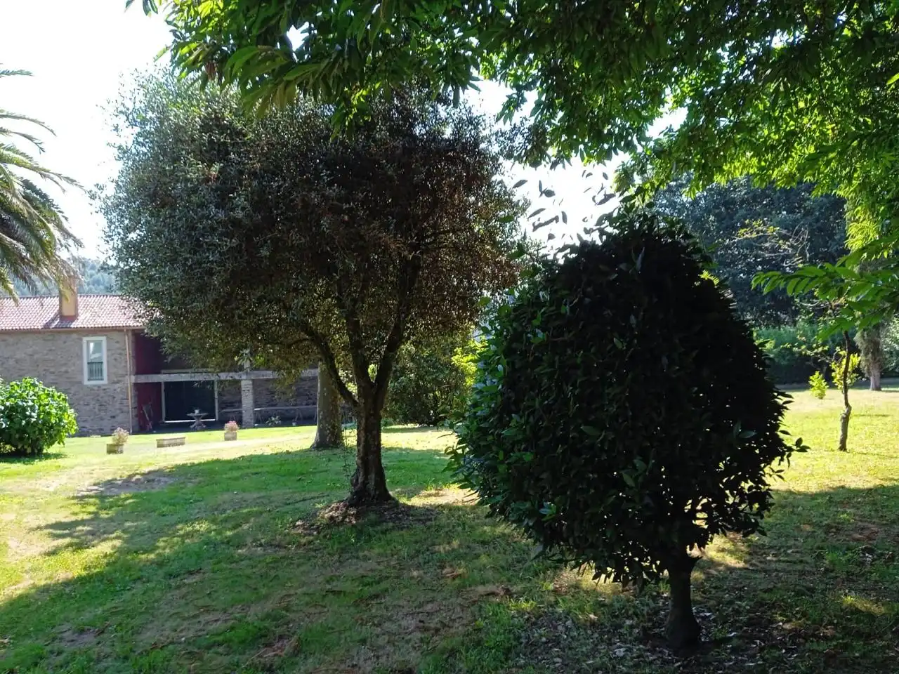 Finca rústica en venta en Loxo, Touro