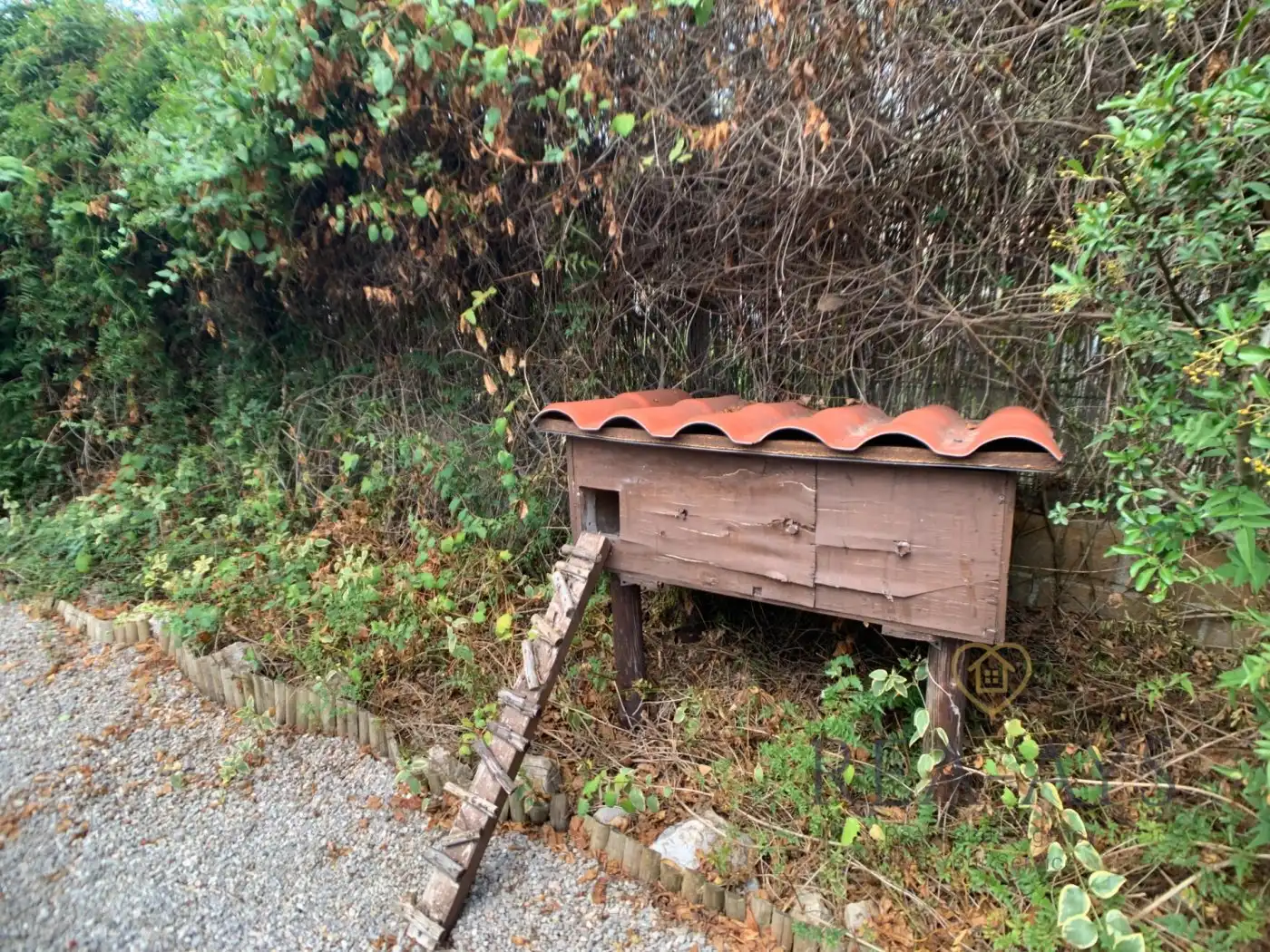 Vista exterior de Casa o xalet en venda en Olesa de Bonesvalls amb Jardí privat, Terrassa i Traster