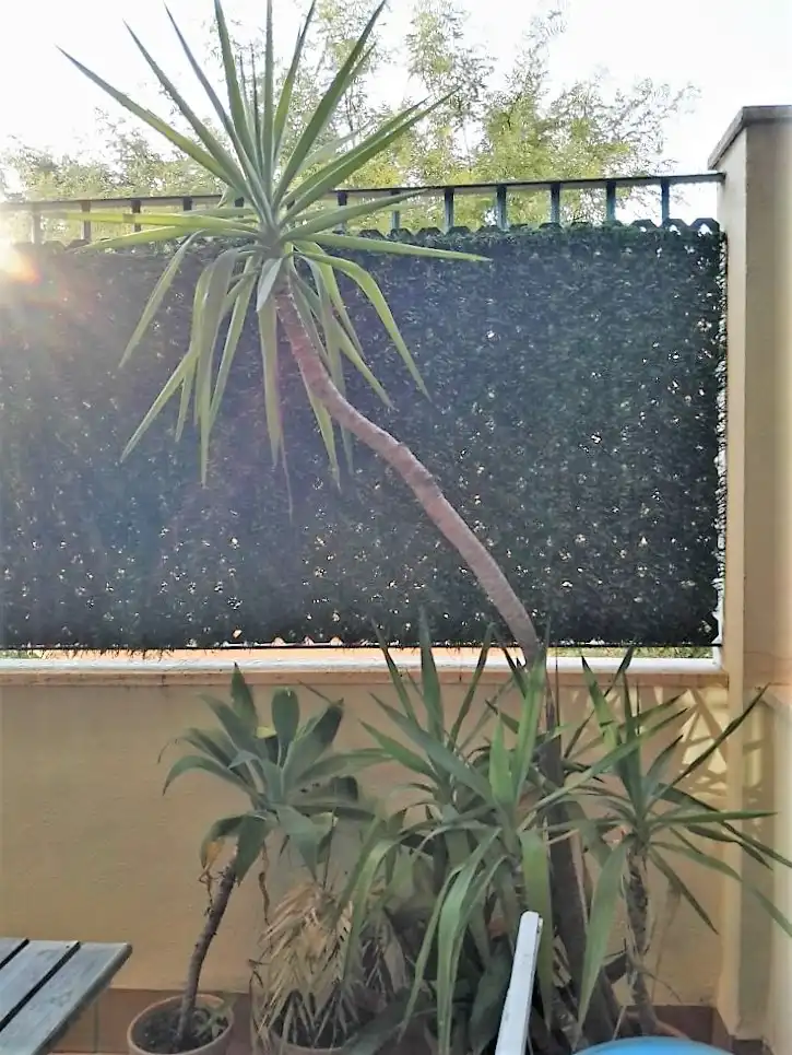 Garden of Flat for rent in Jerez de la Frontera  with Air Conditioner, Oven and Washing machine