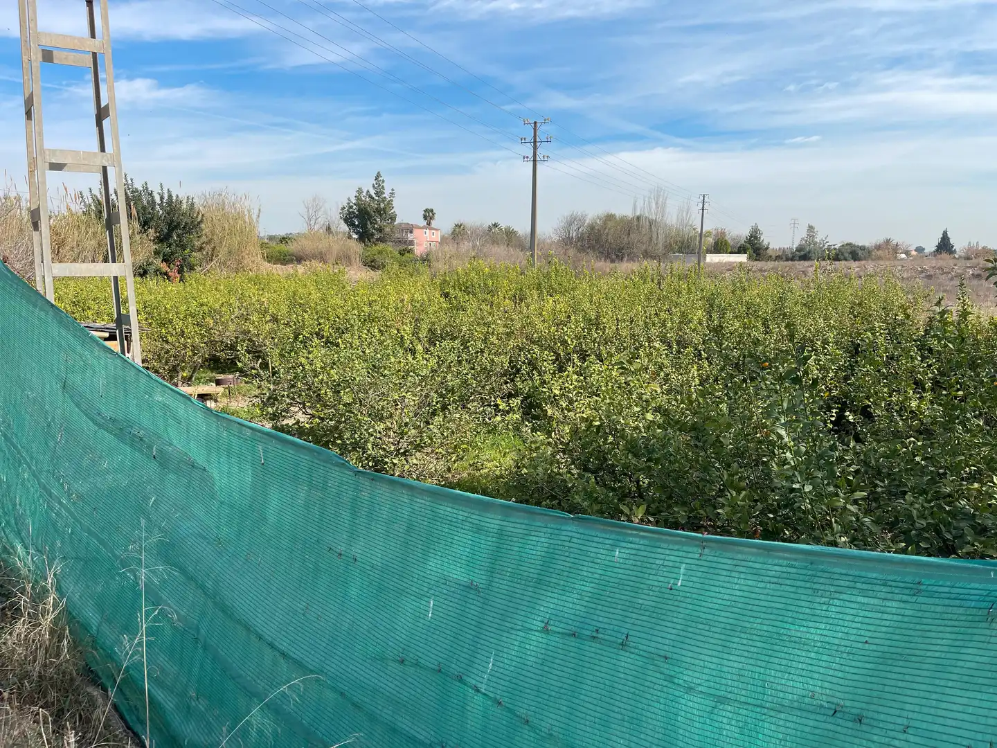Terreny rústic en venda a Pedanías Oeste