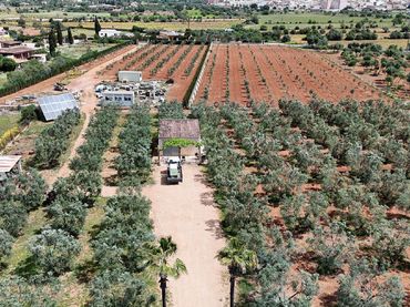 Terreno rústico en venta en Ronda de Ponent 70