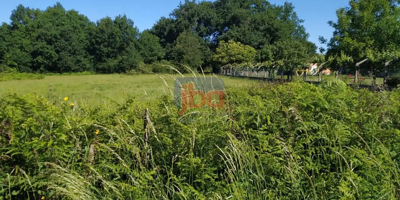 Wohnbaugrundstück zum Verkauf in Vilamarín, imagen 3