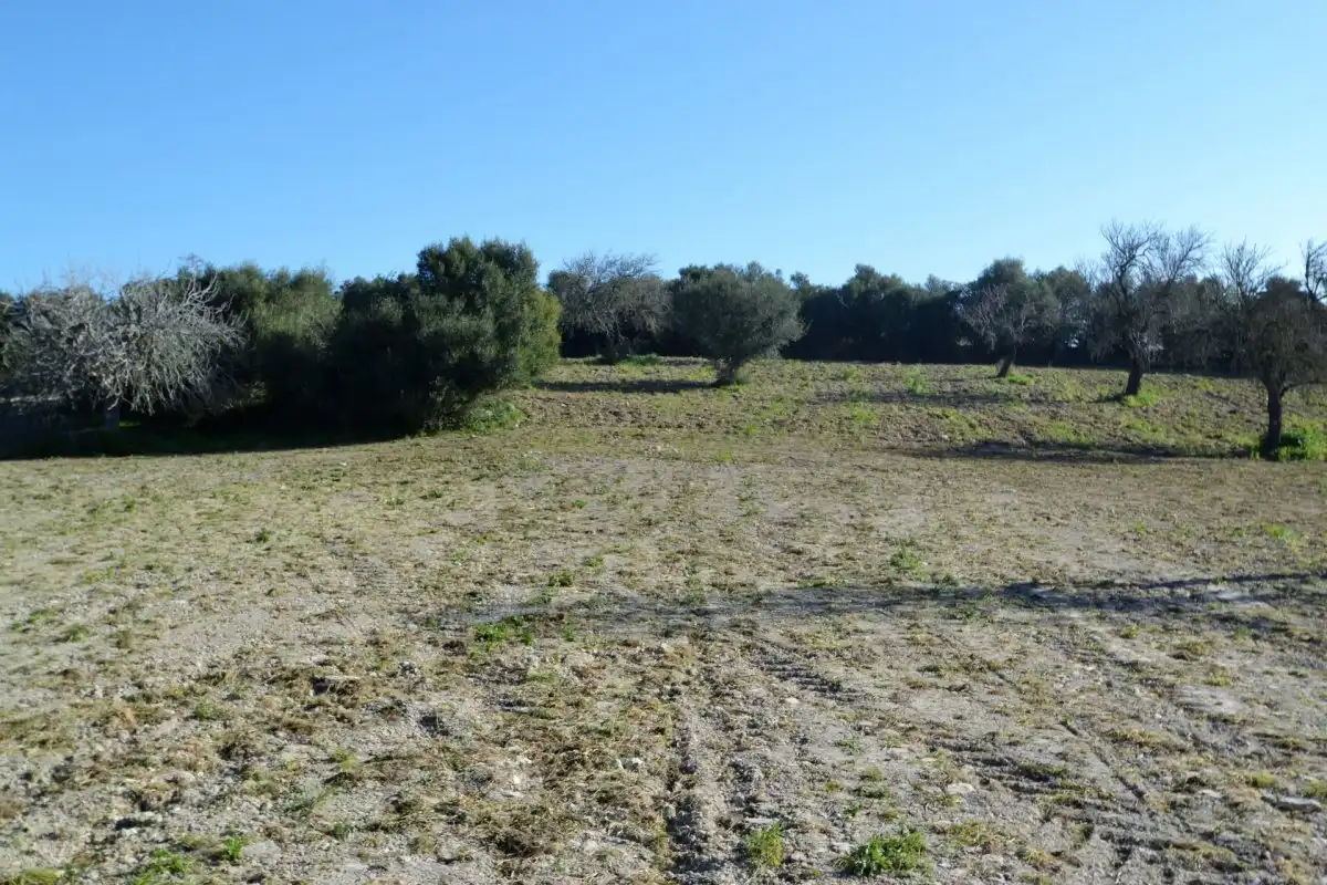 Casa rústica en venta en Llubí, imagen 14