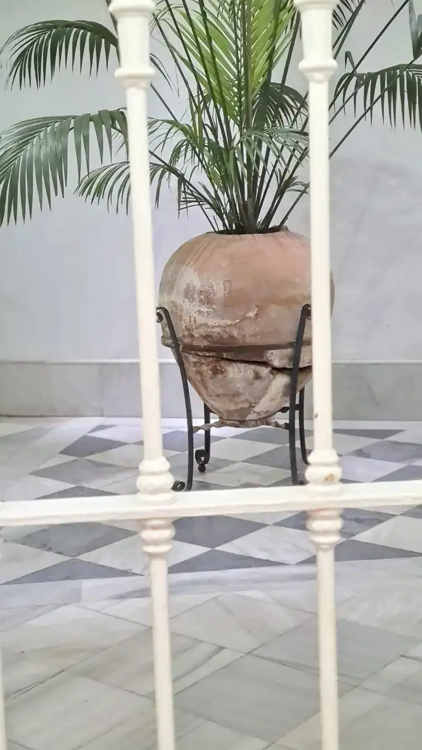 Jardín de Planta baja en venta en Cádiz