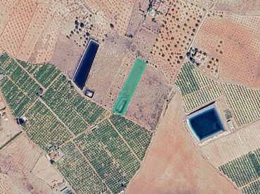 Terreno rustico in vendita a Partida de Agudo y Corvera