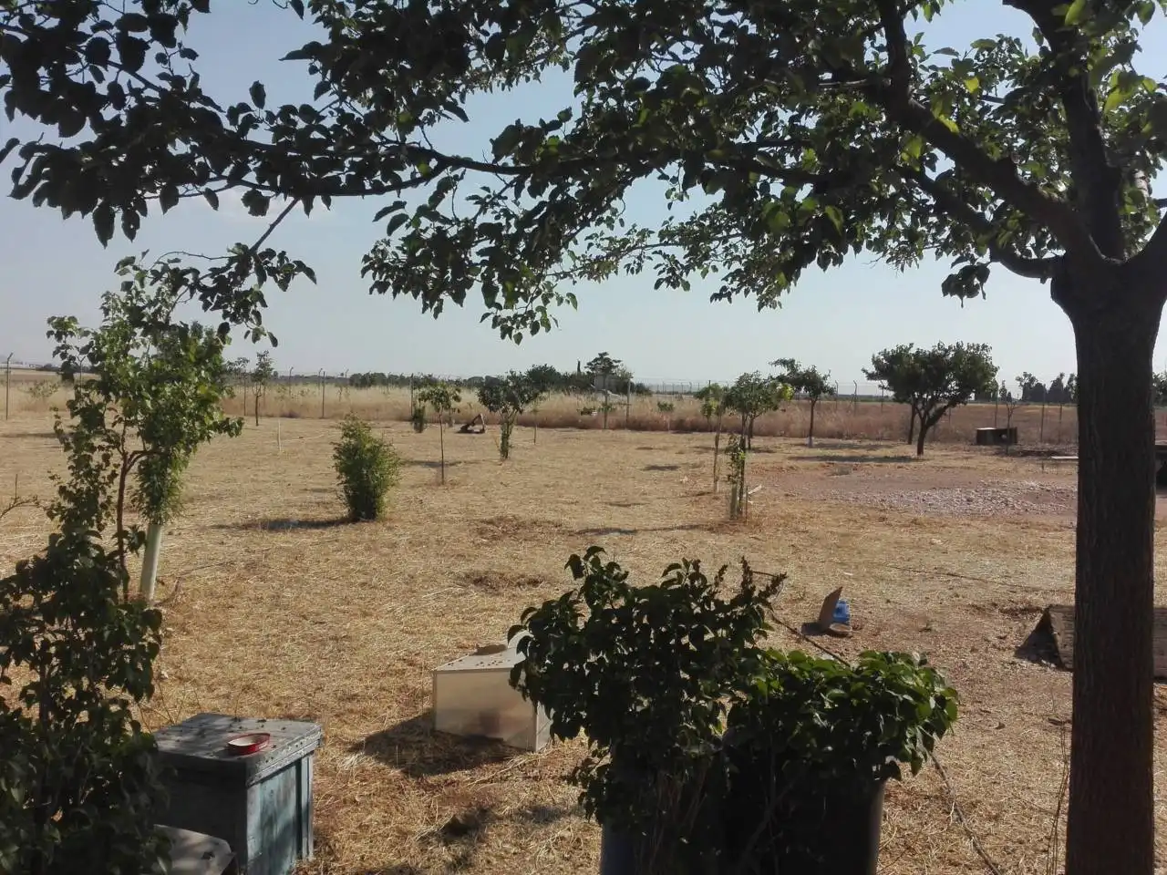 Xalet en venda a Manzanares, imagen 6