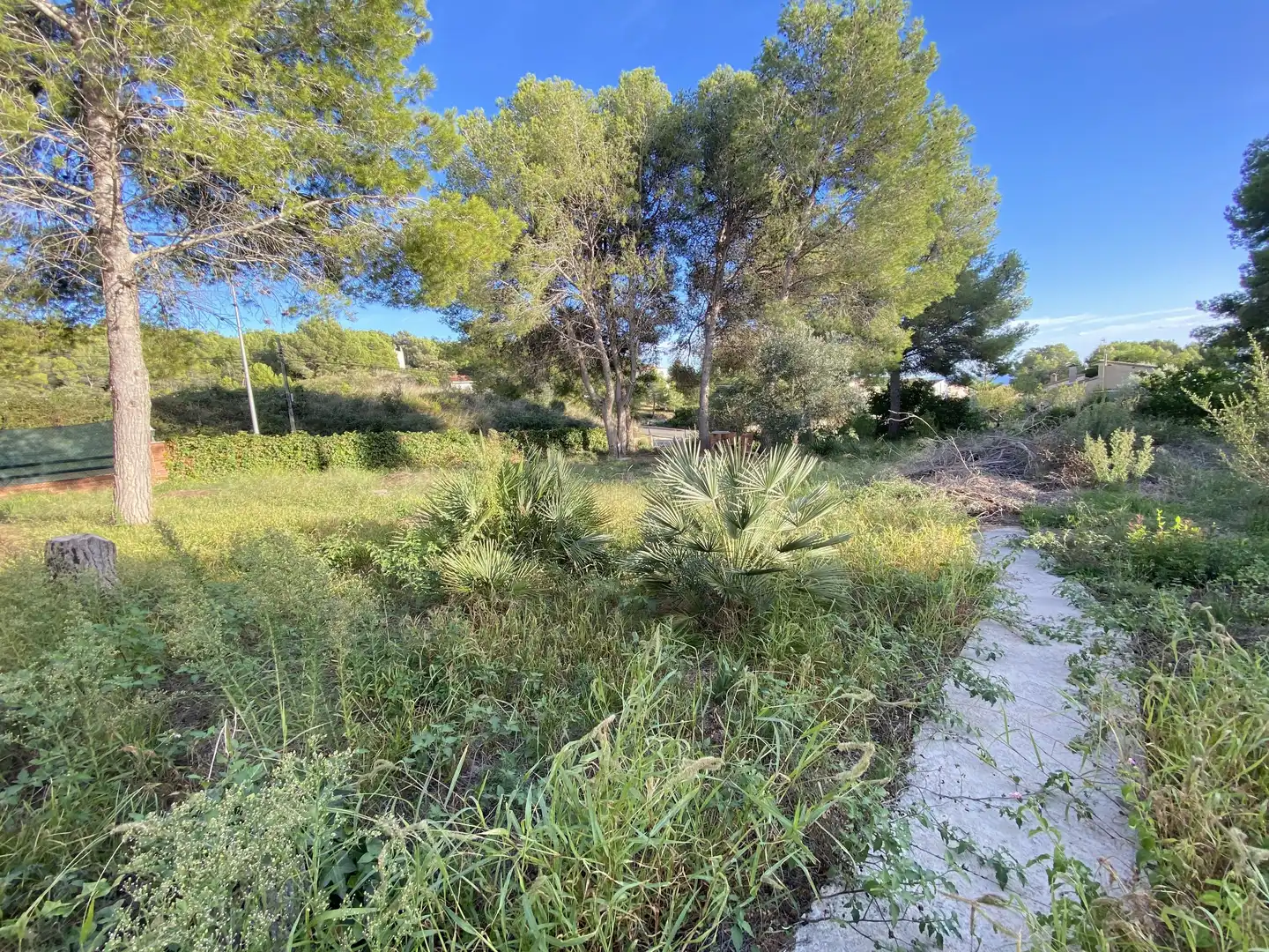 Wohnbaugrundstück zum Verkauf in Mas Borràs - Coto del Rey, imagen 5