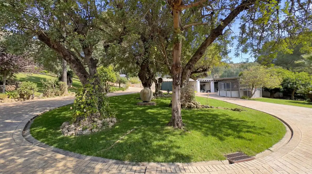 Vista exterior de Finca rústica en venda en Alhaurín El Grande amb Aire condicionat, Jardí privat i Terrassa