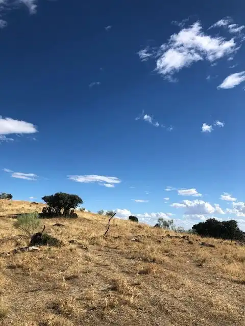Terreny residencial en venda a Valdemorillo pueblo, imagen 20