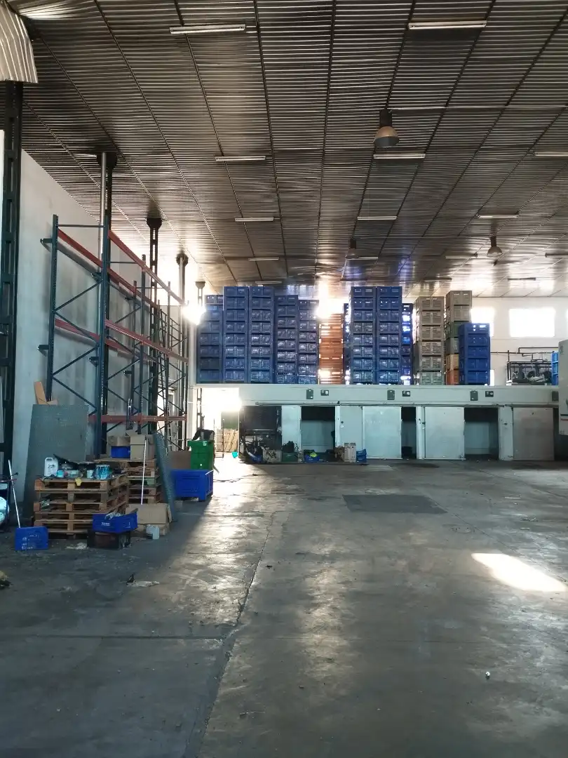 Nau industrial en venda en Zafra
