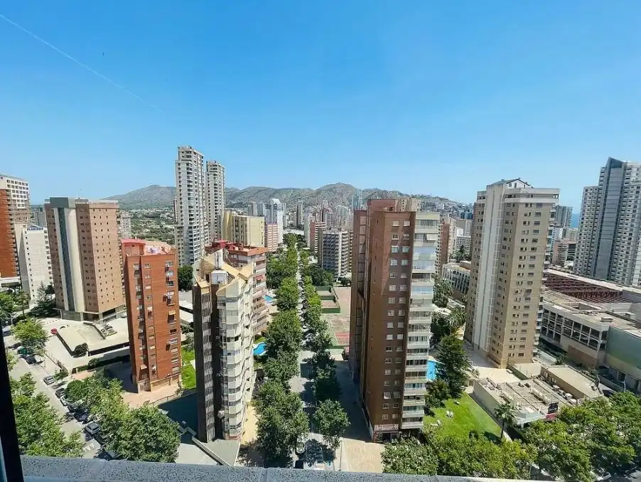 Attique avec piscine à vendre à Avenida de Europa 23, imagen 18