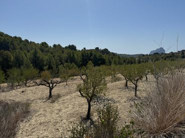 Grundstücke und Bauplätze zum Verkauf in Benissa pueblo