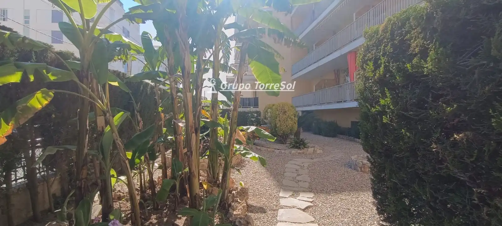 Penthouse mit Aufzug zum Verkauf in David De Mas, imagen 31