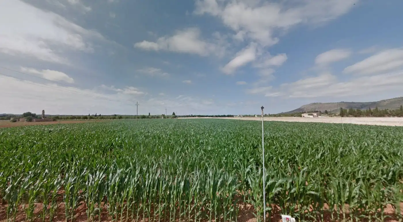 Wohnbaugrundstück zum Verkauf in Sa Pobla, imagen 7