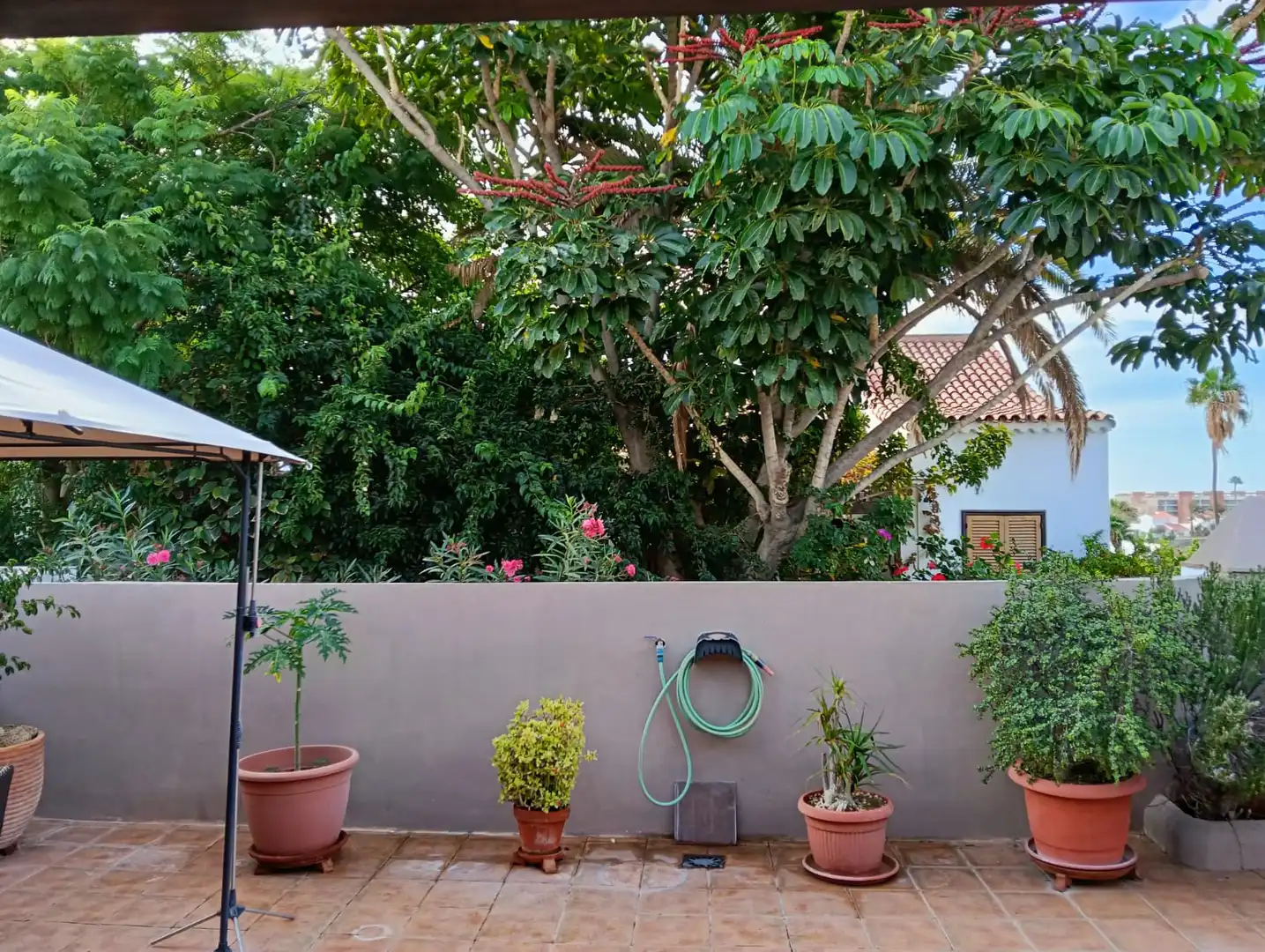 Casa con piscina en venta en Calle Farway Village, imagen 35