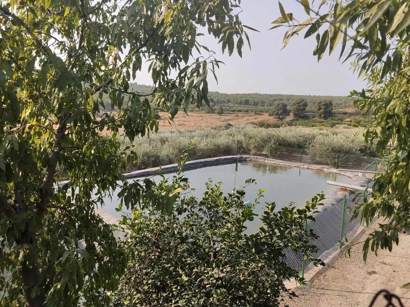 Maison rustique à vendre à Alhama de Murcia ciudad, imagen 20
