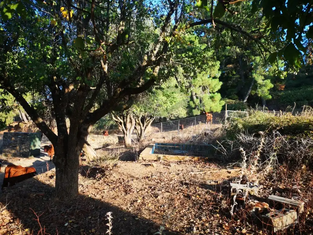 Casa rústica en venda a Gaucín, imagen 7