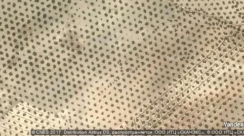 Foto 4 de Finca rústica en venda a Renfe - Bulevar 1ª y 2ª Fase,  Jaén Capital