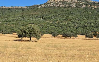 Country house for sale in Los Yébenes