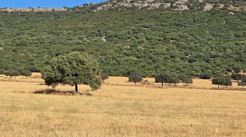 Foto 3 de Finca rústica en venda a Los Yébenes, Toledo