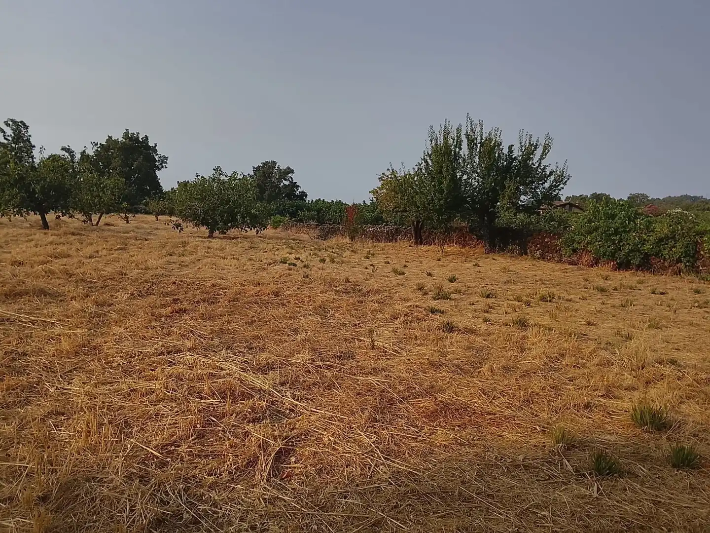 Terreni e lotti in vendita a Villanueva de la Vera, imagen 27