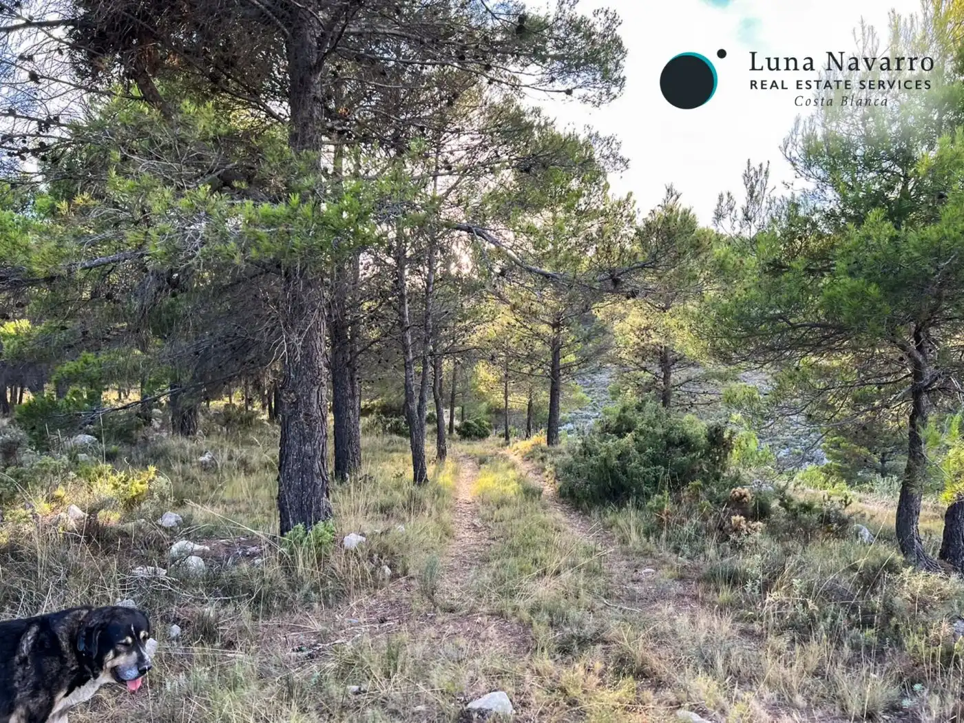 Terreno en venta en Calle San Antonio, 50, Confrides