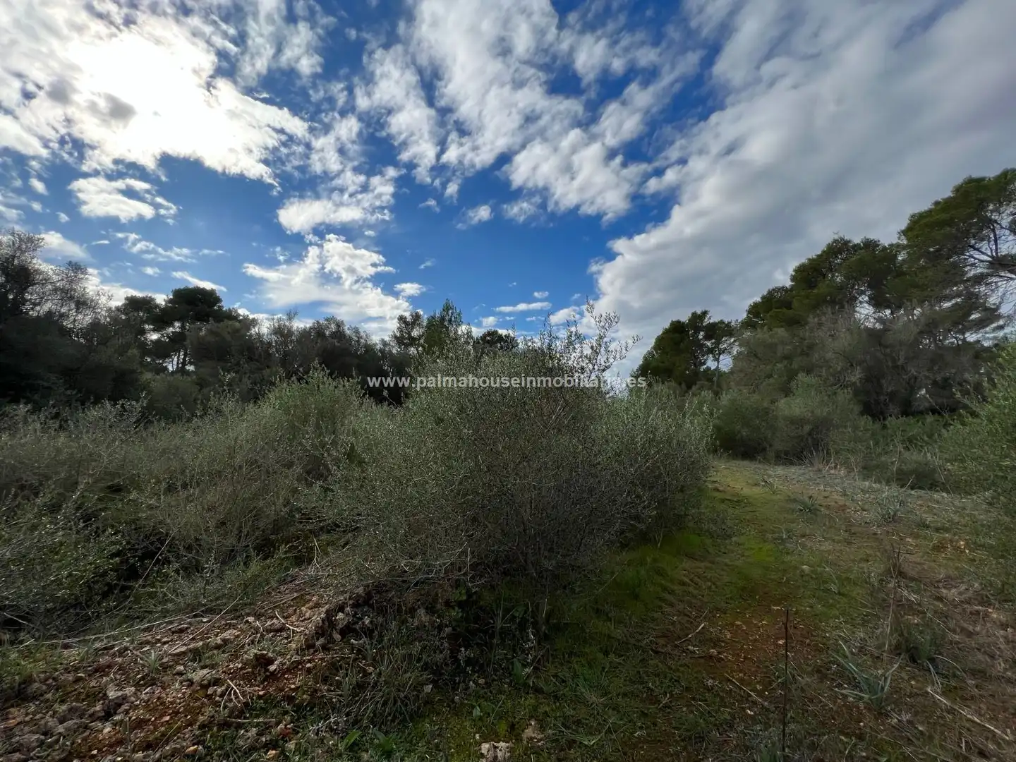 Residencial en venta en Algaida