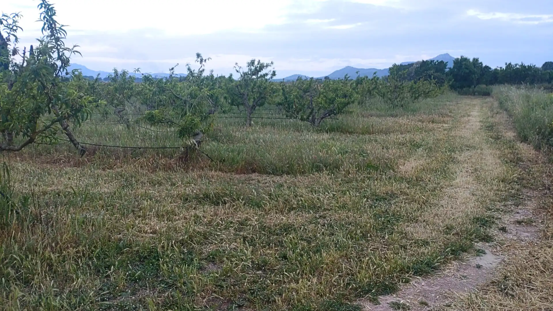 Terreno residenziale in vendita a Camino Nou, imagen 11
