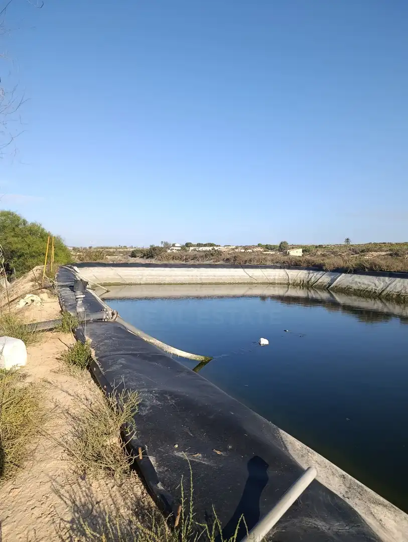 Terrain rustique à vendre à La Marina, imagen 18