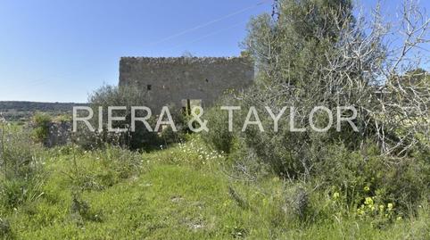 Foto 3 de Finca rústica en venta en Manacor Centre, Manacor