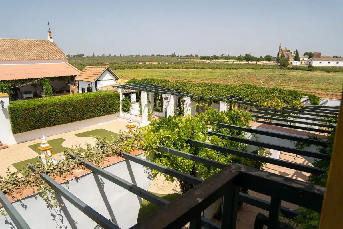 Terrassa de Casa o xalet en venda en Espartinas amb Calefacció, Jardí privat i Terrassa