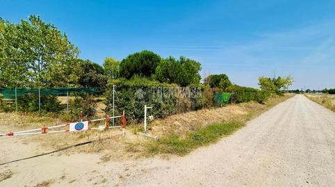 Photo 3 of Land for sale in La Pedraja de Portillo , Valladolid