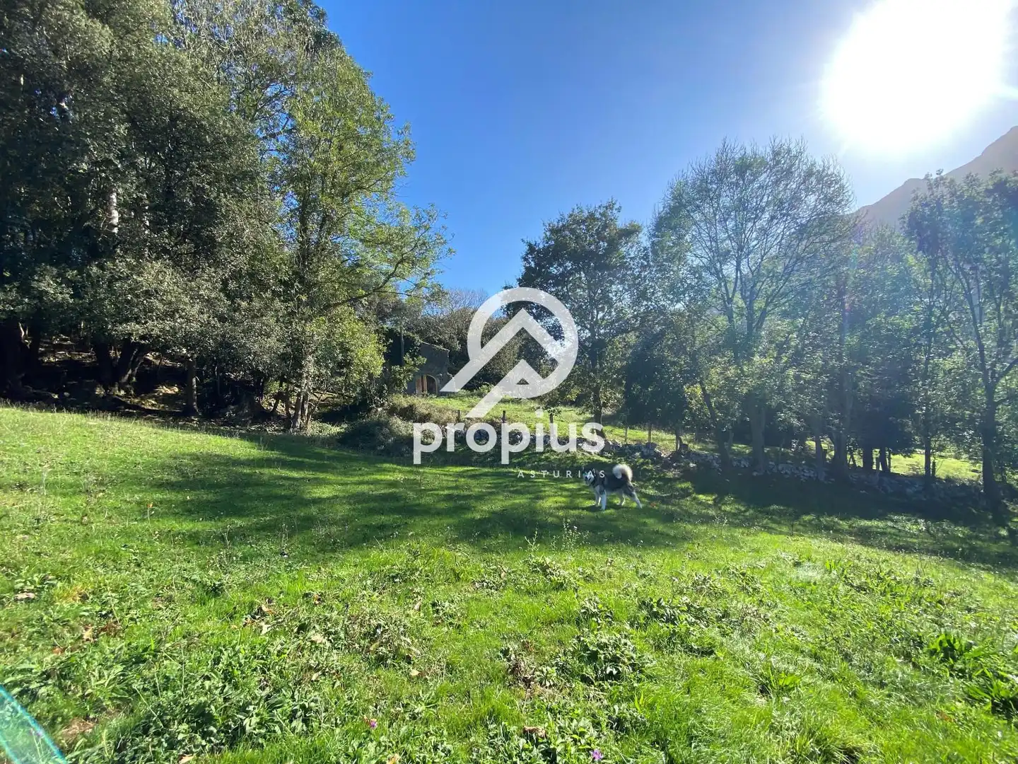 Land for sale in Llanes