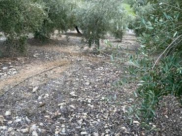 Terreno rustico in vendita a Priego de Córdoba