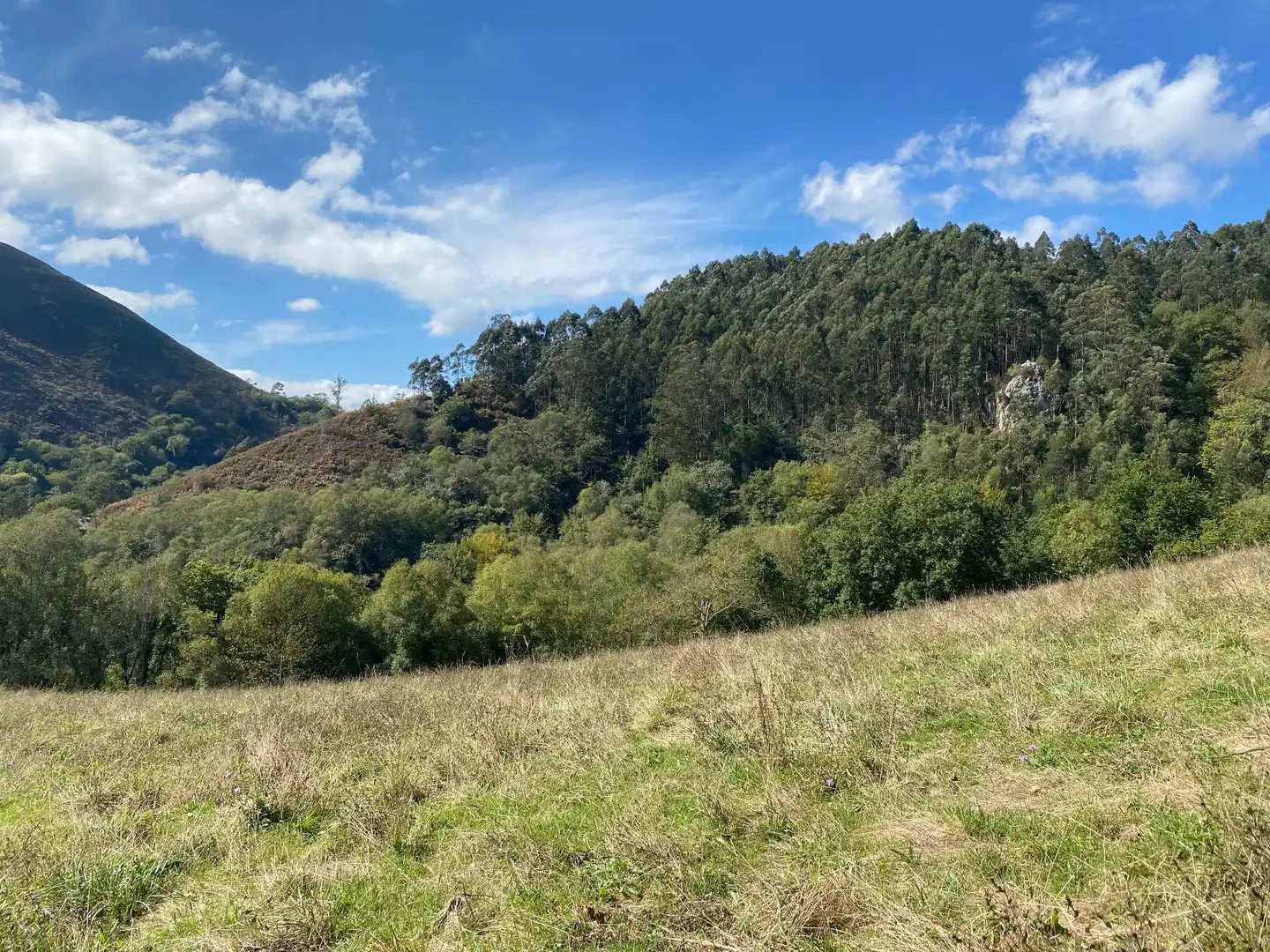 Maison avec jardin à vendre à Tresmonte, imagen 79