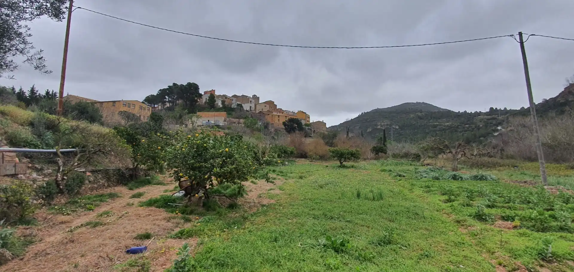 Casa o xalet en venda en Alfara de Carles