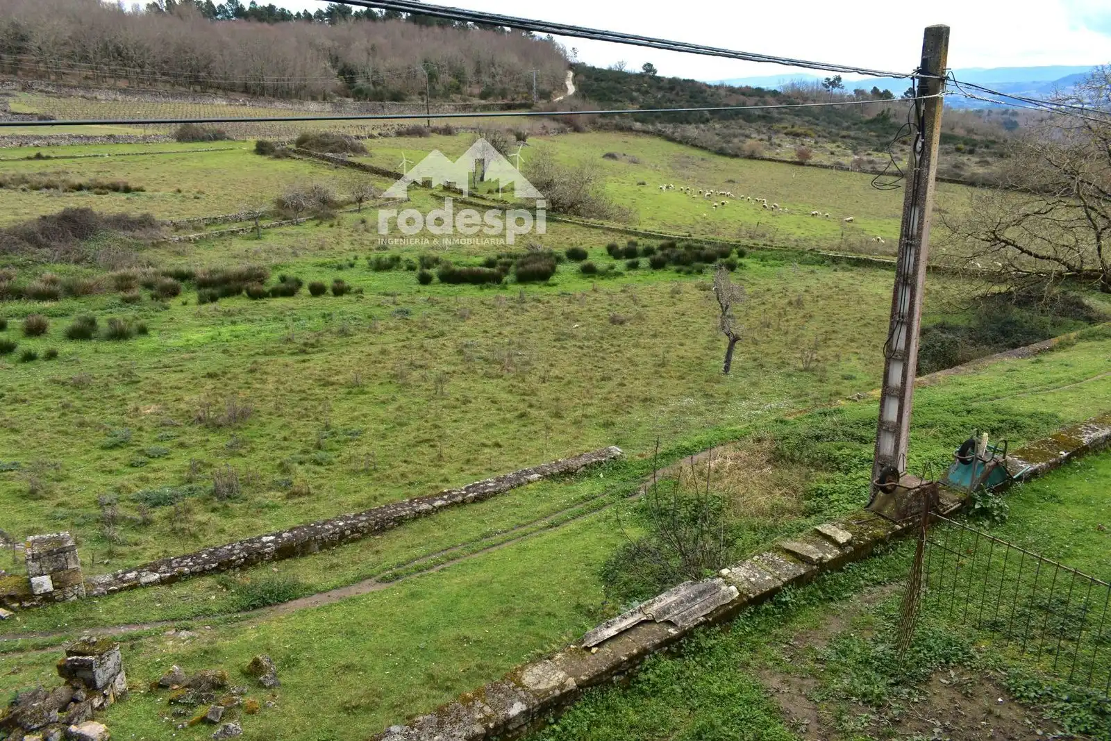 Buildings for sale in Pantón